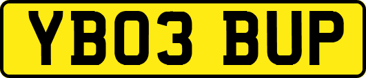 YB03BUP