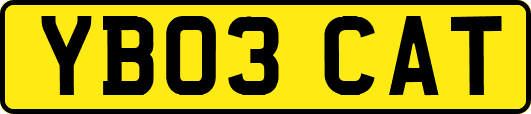 YB03CAT