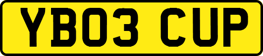 YB03CUP