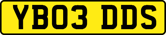 YB03DDS