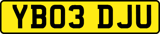 YB03DJU