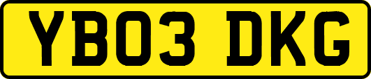 YB03DKG
