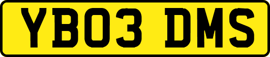 YB03DMS