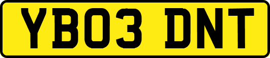 YB03DNT