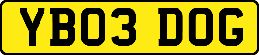 YB03DOG