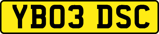YB03DSC