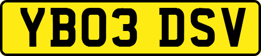 YB03DSV