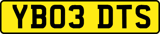 YB03DTS