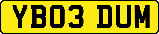 YB03DUM