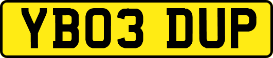 YB03DUP