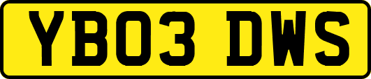 YB03DWS