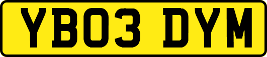 YB03DYM