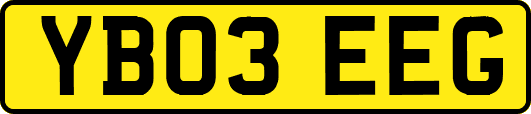 YB03EEG