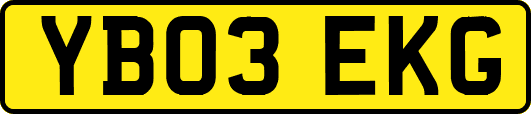 YB03EKG
