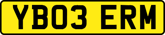 YB03ERM