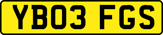 YB03FGS