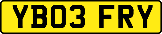 YB03FRY