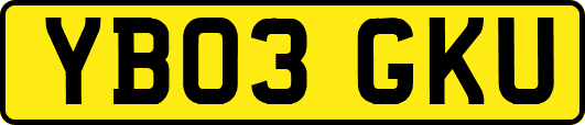 YB03GKU