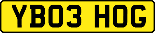 YB03HOG