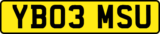 YB03MSU