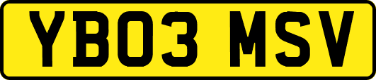 YB03MSV
