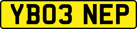 YB03NEP