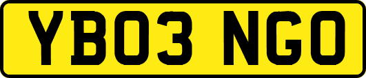 YB03NGO