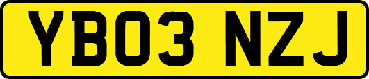 YB03NZJ