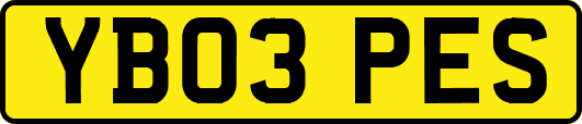 YB03PES