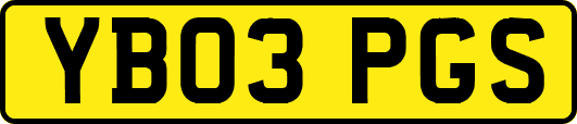 YB03PGS