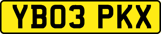 YB03PKX