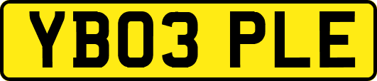 YB03PLE