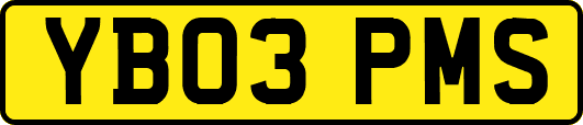 YB03PMS