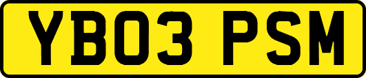 YB03PSM