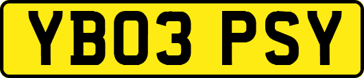 YB03PSY