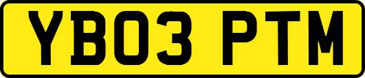 YB03PTM