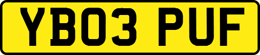 YB03PUF