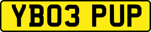 YB03PUP