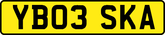 YB03SKA