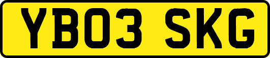 YB03SKG