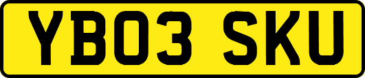 YB03SKU