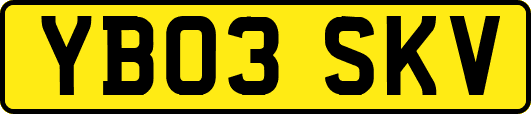 YB03SKV
