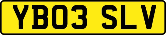 YB03SLV