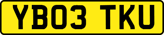 YB03TKU