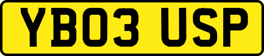 YB03USP
