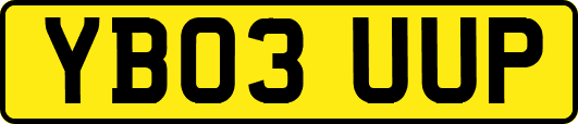 YB03UUP