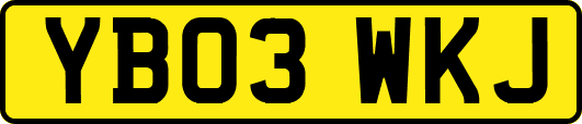 YB03WKJ