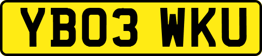 YB03WKU