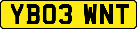 YB03WNT