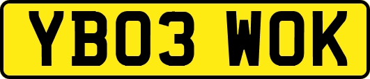 YB03WOK